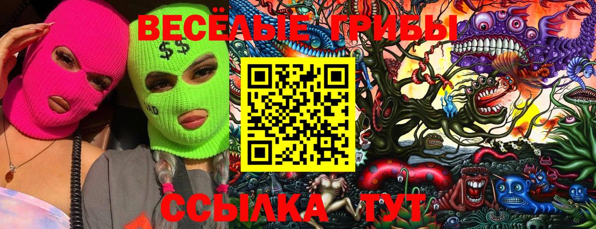 Орск  Псилоцибиновые грибы Psilocybine cubensis  Вход с VPN  Галлюциногенные грибы прущие грибы 