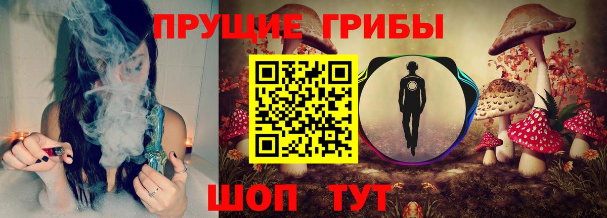 Галлюциногенные грибы Psilocybine cubensis Орск